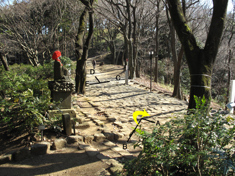 20170126hike (187)